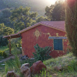 Tropical Exterior