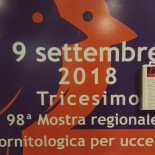 Da Saccon Carta