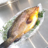 Fish By Daniel Boisson