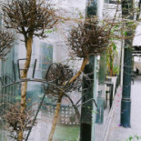 Corte Cafè Esterno