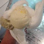 Molo Bebida