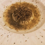 Caciucco Bebida