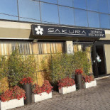 Sakura Extérieur