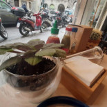 Odio Il Brodo Trieste Boisson