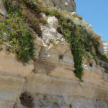 La Forgia Extérieur