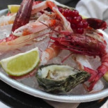 Lève Cibo