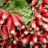 La Veg Epoque Boisson