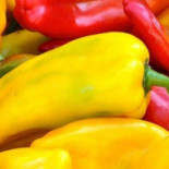 La Veg Epoque Boisson