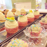 Food Fun Nourriture