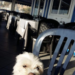 Barbone In Rock Ventimiglia Bebida