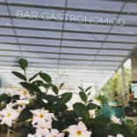 Less Gastronomico Boisson