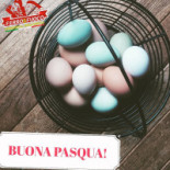 Ferro E Fuoco Boisson