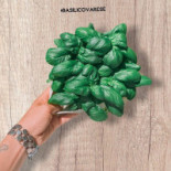 Basili&co. Bebida
