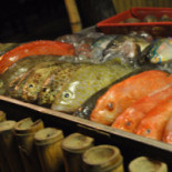 Gelo Gyoia Comida
