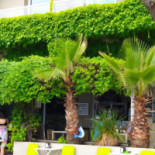 Green Beach Extérieur