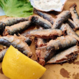 Abbazia Udine Comida