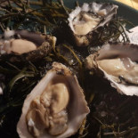 Massimo Gusto Comida