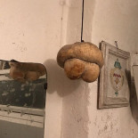 Osteria Perbacco Minuman