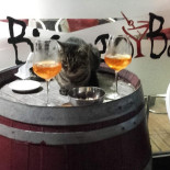 Birago Boisson
