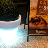 Roadhouse Bebida