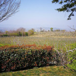 Montevendevolo Exterior