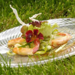 Arbor Stube Nourriture