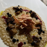 Seda Comida