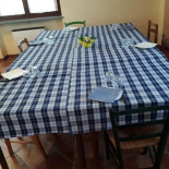 Sandrone inside