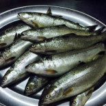 Trattoria Dal Pescatore Dal 1966 drink