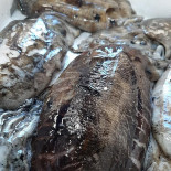 Fish Experience Bebida