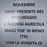 Oasis Carta