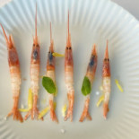 Chinappi Formia Boisson