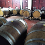 Cantina Bianchi Bebida