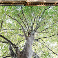 Locanda Martinelli Extérieur