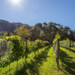 Bioristoro Bosc Del Meneghi outside