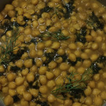 Tierra Nourriture