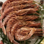 Gioberti Chiuso Essen