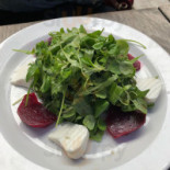 Nautilus Cibo