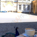 Café Páv Esterno