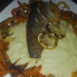 Pavilon Cibo