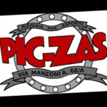 Pic-zas Logo