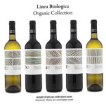 Cantina Colli Ripani Boisson