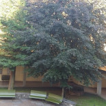 Al Centro Extérieur