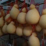 Apricus Osteria Bebida