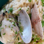 Cibo Qibo Comida