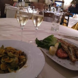 Cibo Qibo Comida