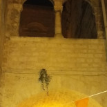 Braceria Biscegliese Boisson
