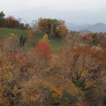 Col Dei Gelsi Exterior