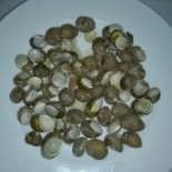 Conte Cavour Boisson