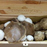 Armonia Del Sapore Comida